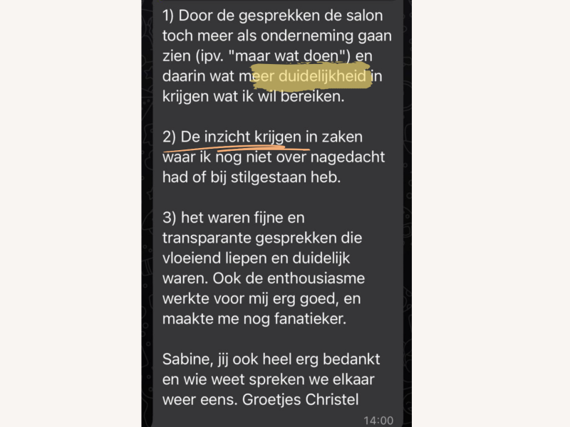 Salon Plan Analyse Gesprek
