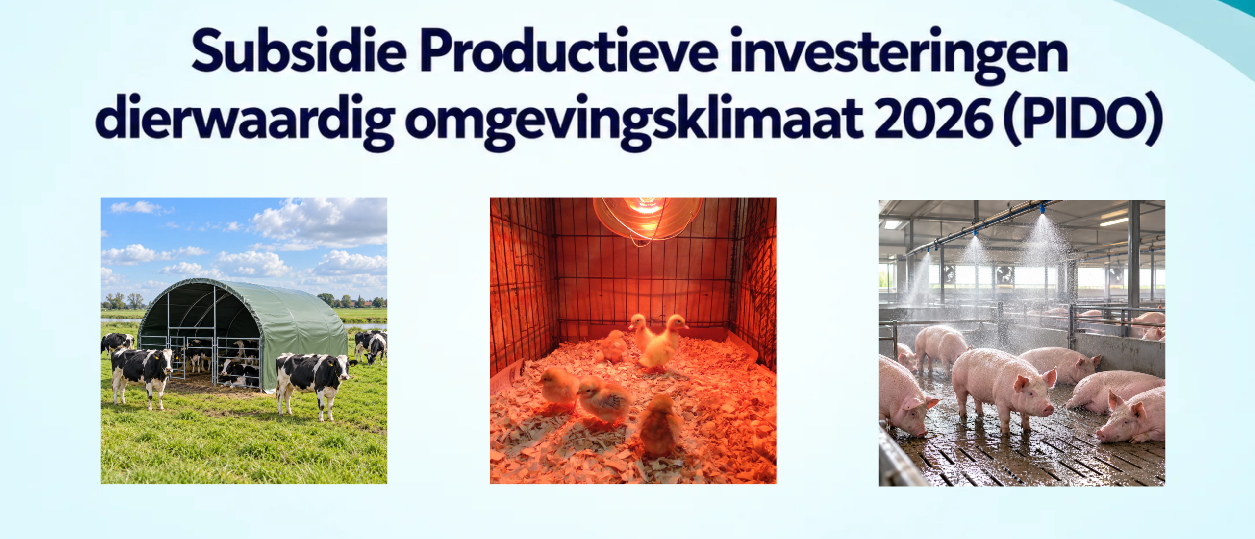 Subsidieopenstelling 'productieve investeringen dierwaardig omgevingsklimaat 2026 (PIDO)’