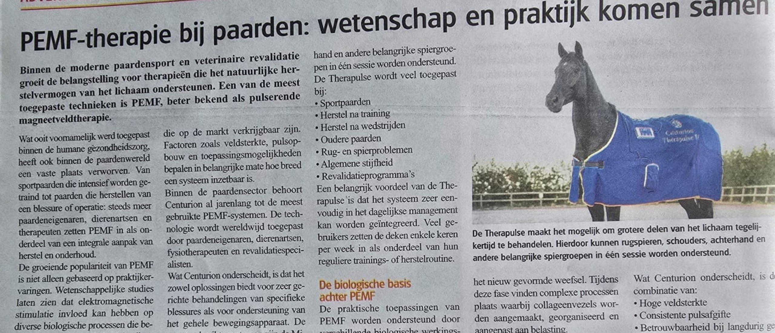 PEMF-therapie bij paarden: wetenschap en praktijk komen samen