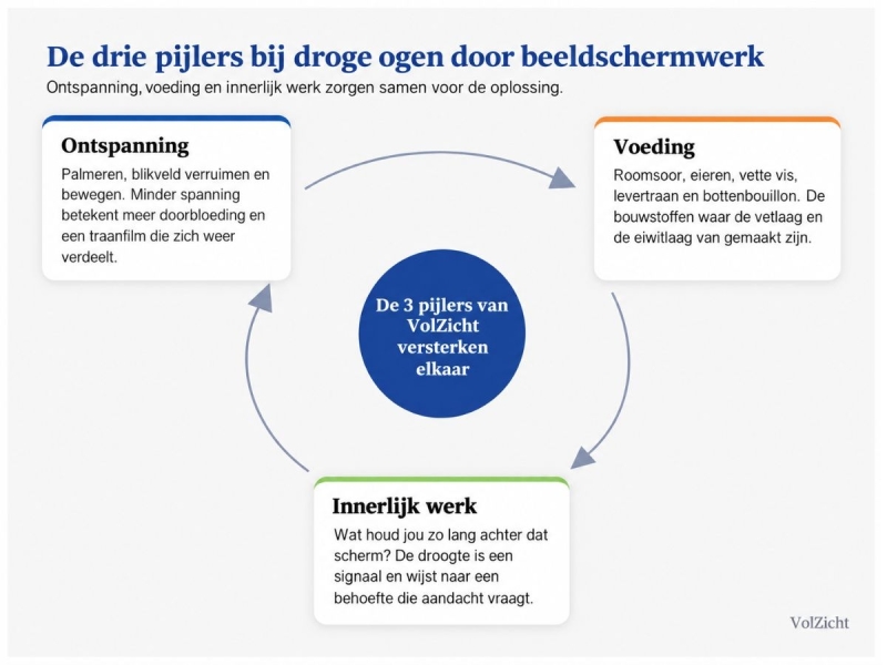 3 pijlers beeldschermwerk wat te doen tegen droge ogen op kantoor