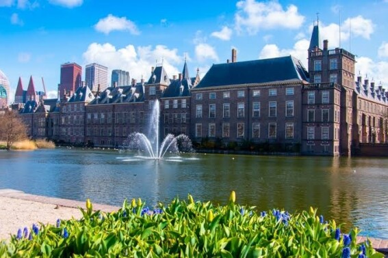 Hypnotherapie Academie Nederland