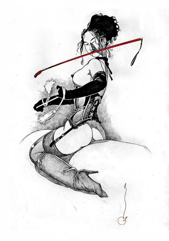 bdsm mistress with a whip between her teeth bdsm mistress with a whip between her teeth