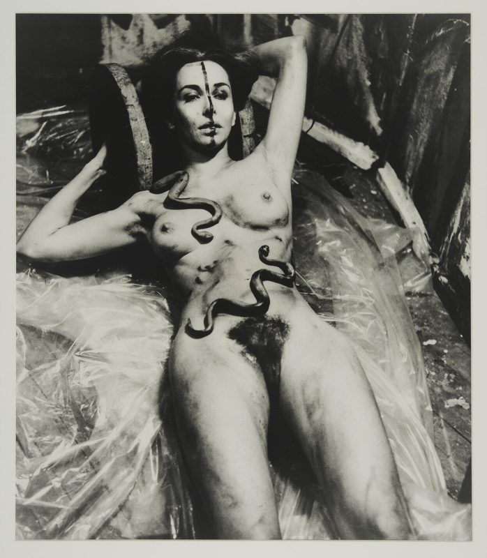 Carolee-Schneeman-Eye-Body-Coming to Power Carolee-Schneeman-Eye-Body-Coming to Power
