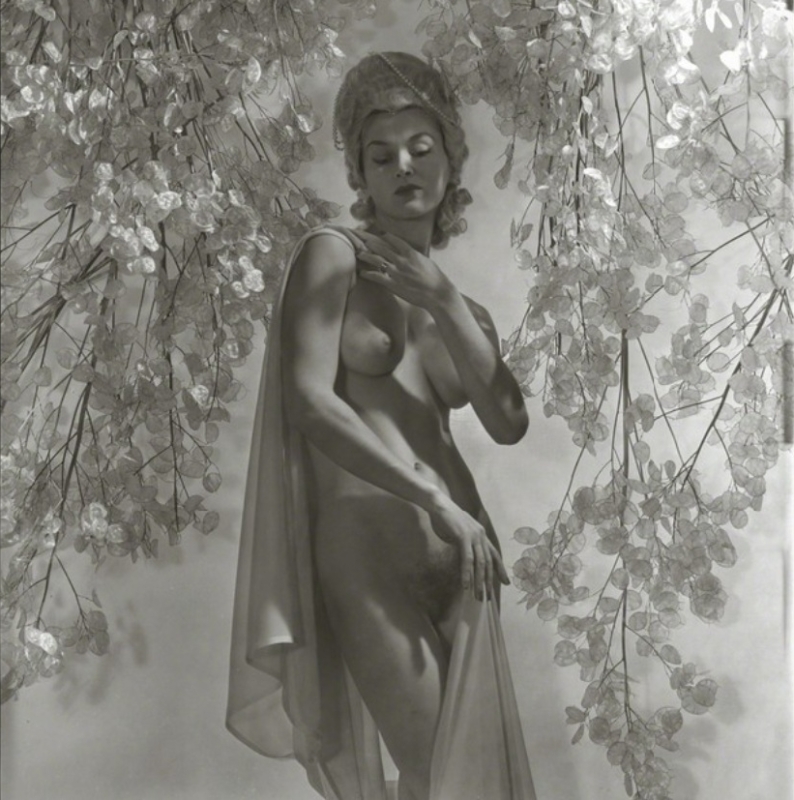 Lisa with Money Plant, 1939 Gelatin silver print by the renowned fashion photographer Horst P. Horst Lisa with Money Plant, 1939 Gelatin silver print by the renowned fashion photographer Horst P. Horst