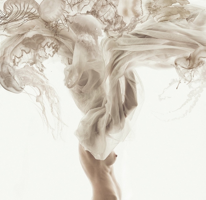 photo of a nude with jellyfishes photo of a nude with jellyfishes