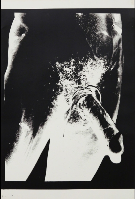 Torso, 1977 Unique screenprint, on Lenox Museum board © The Andy Warhol Torso, 1977 Unique screenprint, on Lenox Museum board © The Andy Warhol