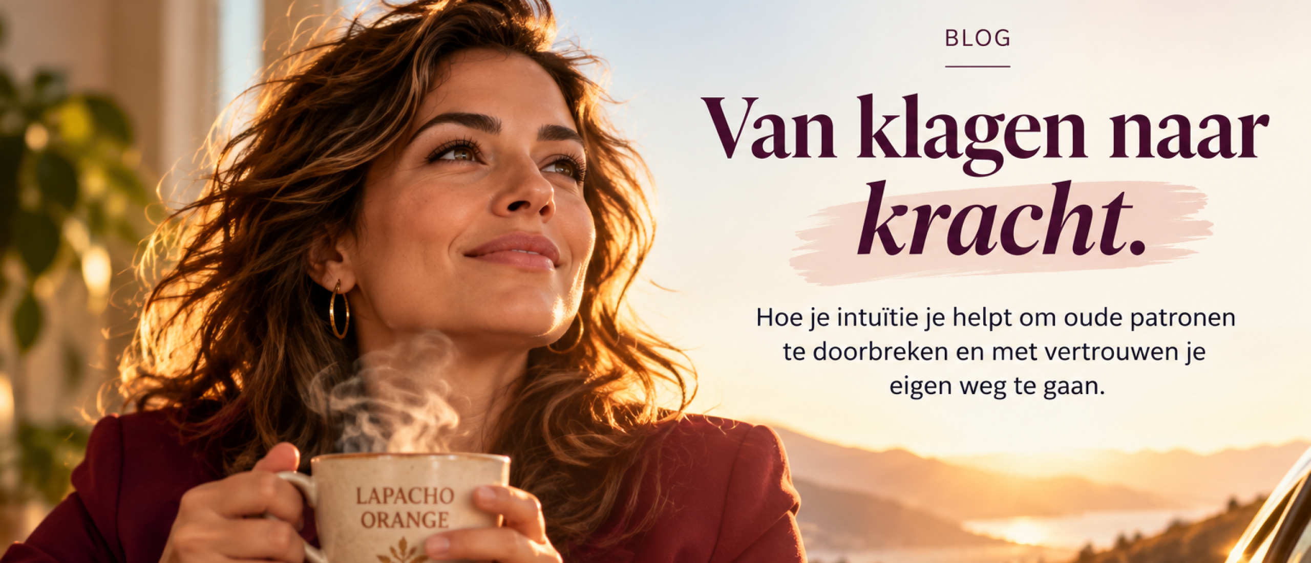 De baas de baas