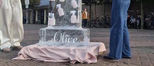 Olive ijsblok Haarlem