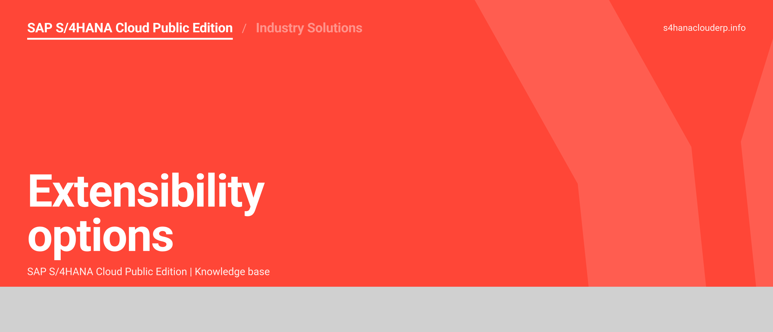 Extensibility options