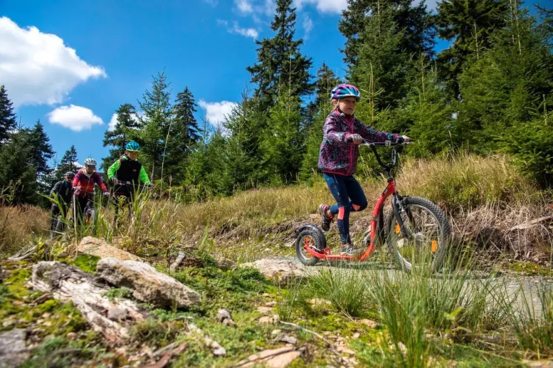 Bergsteppen met kinderen in Tsjechië