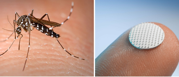 Microneedle Technology for Zika Prevention and Detection