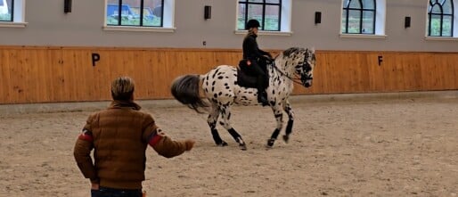 Een kijkje in mijn training met Nevada – onze zoektocht naar een verdiepende laag in training & fitness.