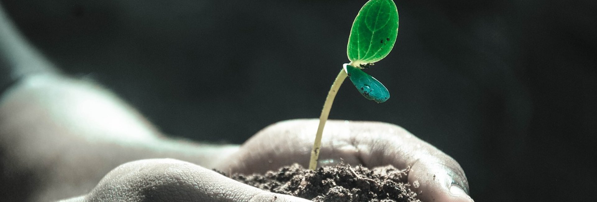 energetische coaching