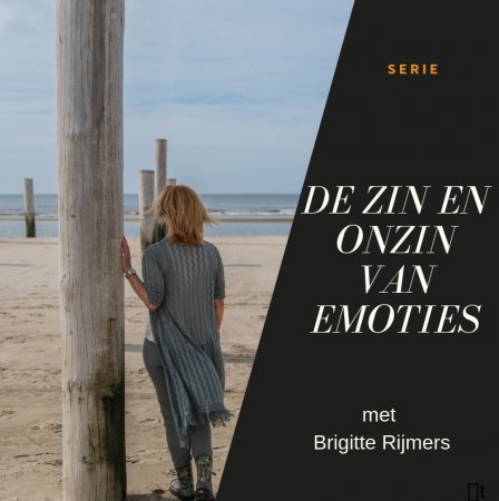 De zin en onzin van emoties De zin en onzin van emoties