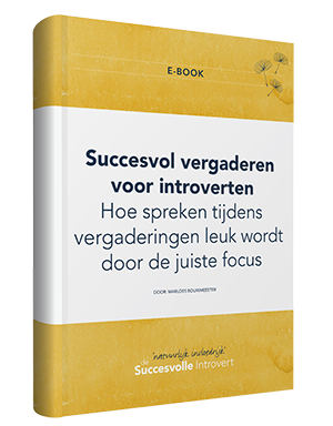 E-book 'Succesvol Vergaderen voor Introverten'