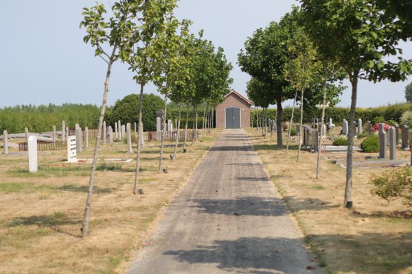 Grafstenen algemene begraafplaats Wilhelminadorp Goedkope grafsteen Wilhelminadorp algemene begraafplaats laten plaatsen, goedkoop, budget, voordelig