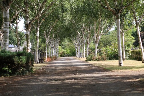 Oude Algemene Begraafplaats Hulst Oude Algemene Begraafplaats Hulst