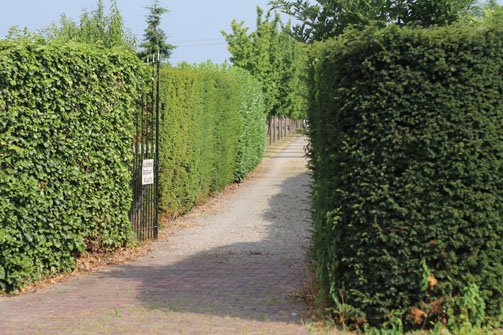Algemene begraafplaats Schore Algemene begraafplaats Schore