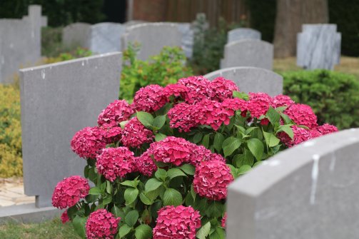 Begraafplaats Gorinchem Begraafplaats Gorinchem