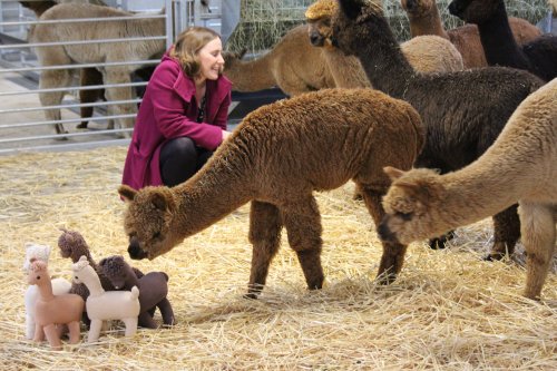 Gehaakte alpaca Gehaakte alpaca
