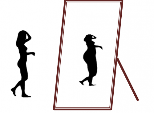 De oorzaken van anorexia De oorzaken van anorexia