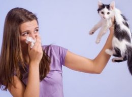 Allergie oplossen met hypnose allergie oplossen met hypnose en hypnotherapie