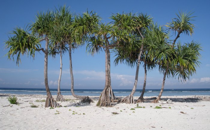 Strand op de Gili Eilanden tijdens een gezinsreis door Indonesië