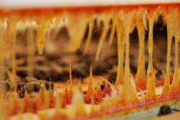 propolis natuurproduct bijen propolis natuurproduct bijen