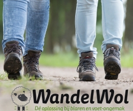 wandelwol antidruk 20g wandelwol antidruk 20g