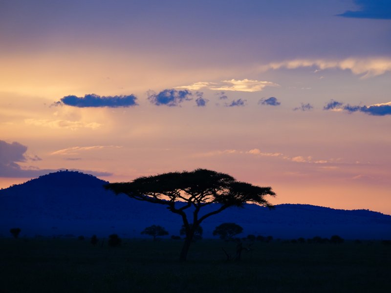 Honeymoon Tanzania Sunset Honeymoon Tanzania Sunset