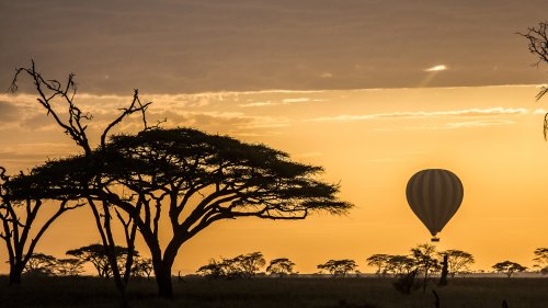 Serengeti Balloon Honeymoon Tanzania Serengeti Balloon Honeymoon Tanzania