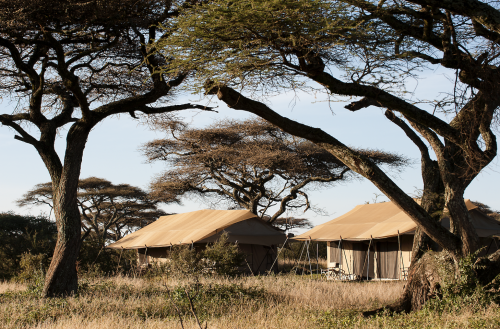 Tented Camp Safari Tanzania Tented Camp Safari Tanzania