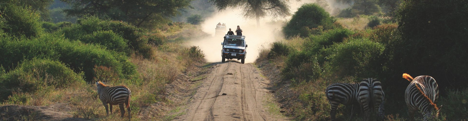 Tanzania Safari Lake Manyara Tanzania Safari Lake Manyara