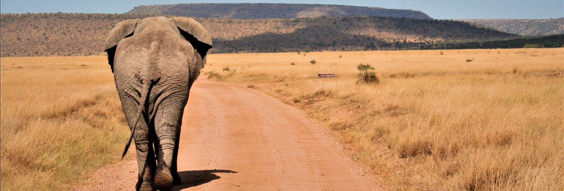 Tanzania Zanzibar Vakantie Ngorongoro Krater Tanzania Zanzibar Vakantie Ngorongoro Krater