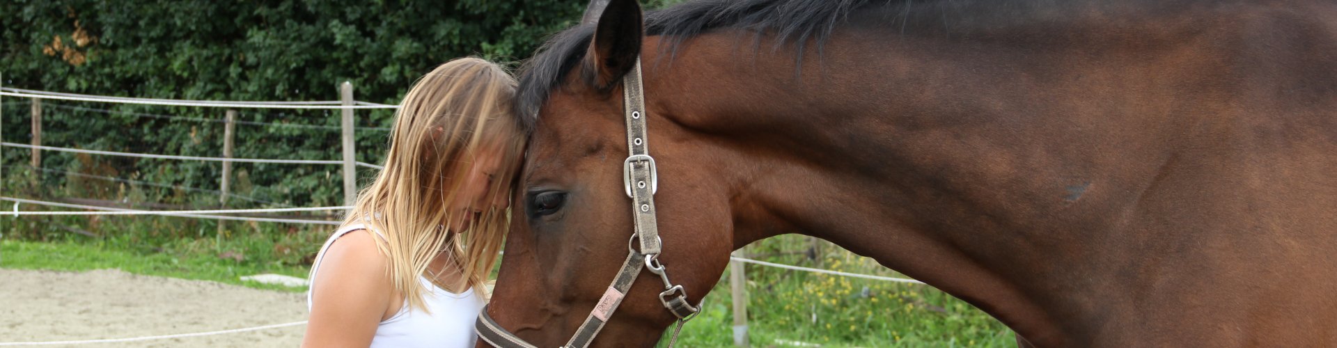 Paardenfluisterkamp Paardenfluisterkamp
