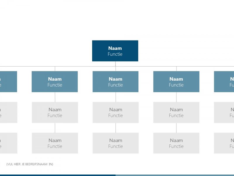 Organogram - PowerPoint slide-bibliotheek Organogram - PowerPoint slide-bibliotheek