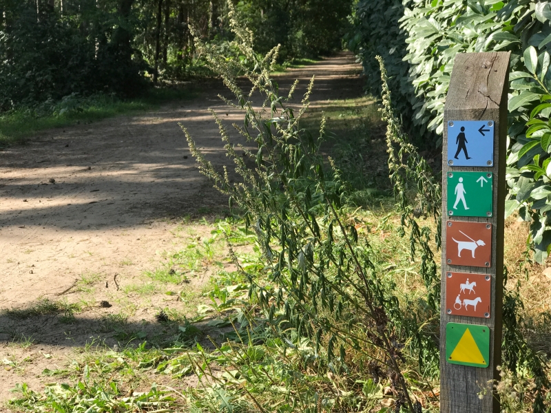 route bewegwijzering met pictogrambordjes route bewegwijzering met pictogrambordjes