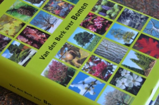 Vertaling Bomenboek Van den Berk over bomen Vertaling Bomenboek Van den Berk over bomen